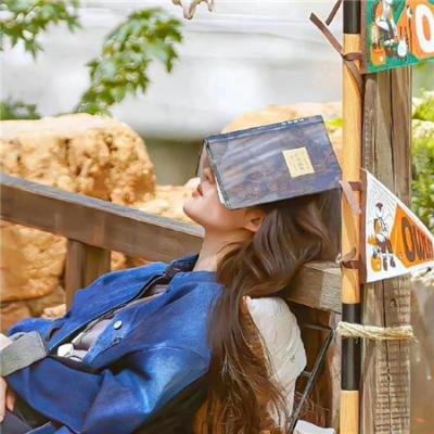 高卢英雄救公主