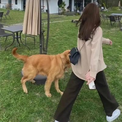 逍遥同盟